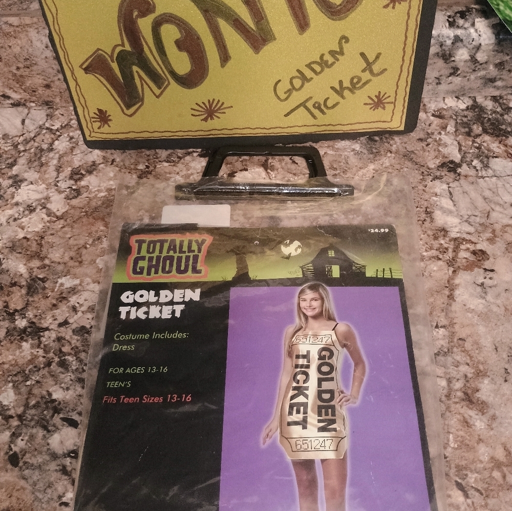 Golden Ticket Costume for Kids - Picture 2 of 4